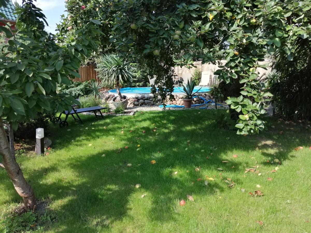 Ferienwohnung Lotti Wittenberg Extérieur photo